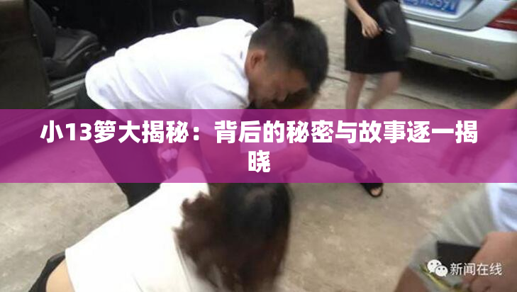 小13箩大揭秘：背后的秘密与故事逐一揭晓