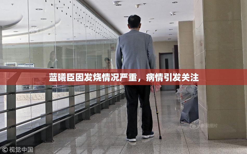 蓝曦臣因发烧情况严重，病情引发关注