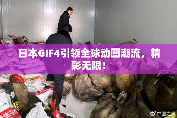 日本GIF4引领全球动图潮流，精彩无限！