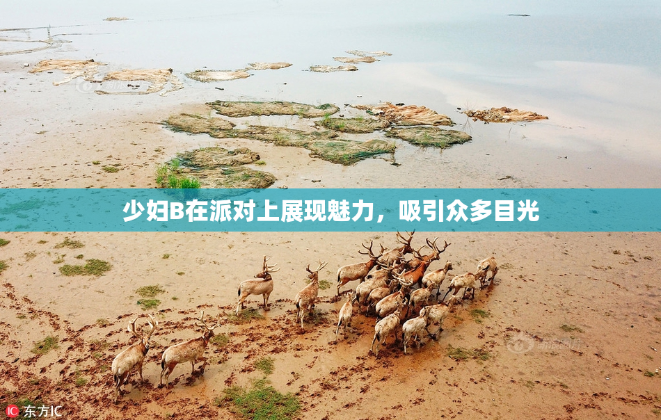 少妇B在派对上展现魅力，吸引众多目光