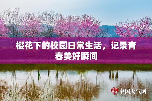 樱花下的校园日常生活，记录青春美好瞬间