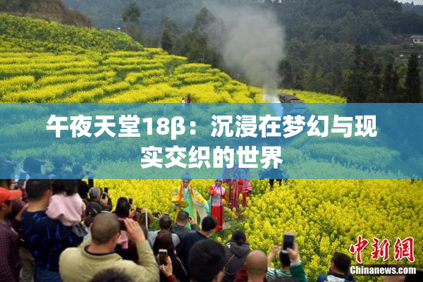 午夜天堂18β：沉浸在梦幻与现实交织的世界