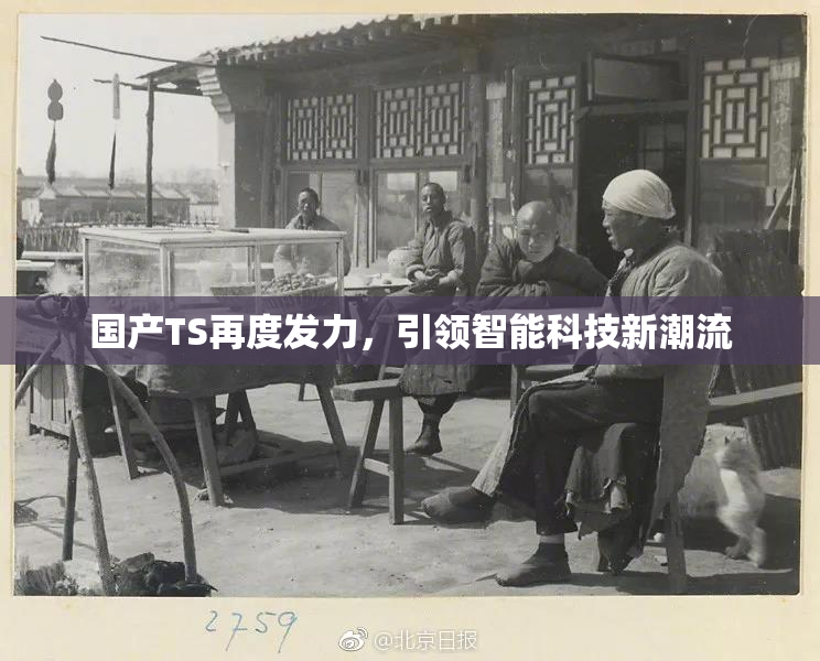 国产TS再度发力，引领智能科技新潮流