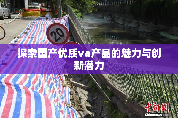 探索国产优质va产品的魅力与创新潜力