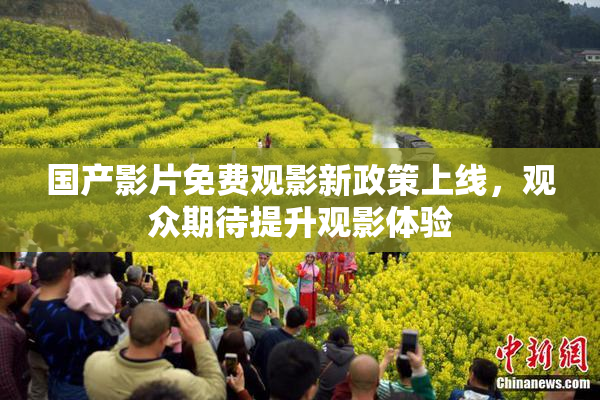 国产影片免费观影新政策上线，观众期待提升观影体验