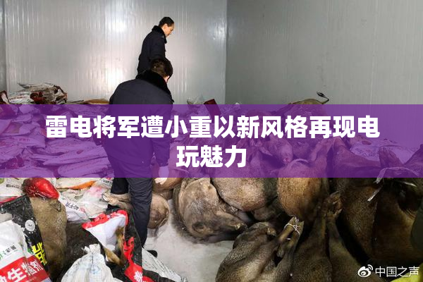 雷电将军遭小重以新风格再现电玩魅力