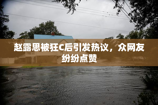 赵露思被狂C后引发热议，众网友纷纷点赞