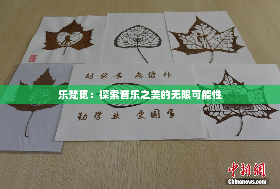 乐梵觅：探索音乐之美的无限可能性
