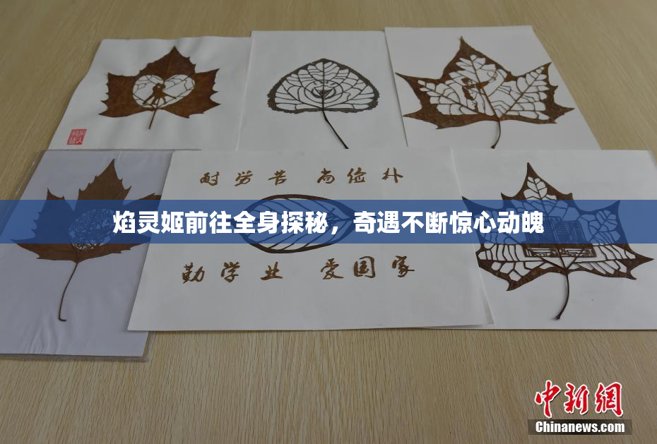 焰灵姬前往全身探秘，奇遇不断惊心动魄