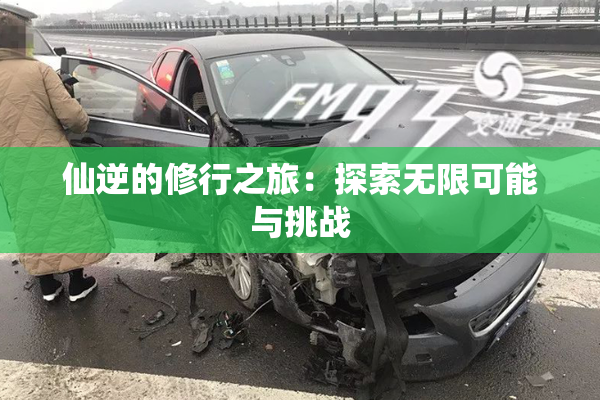 仙逆的修行之旅：探索无限可能与挑战