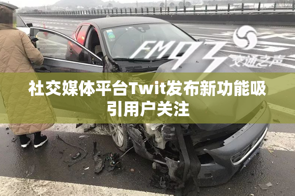 社交媒体平台Twit发布新功能吸引用户关注