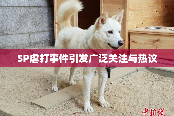 SP虐打事件引发广泛关注与热议