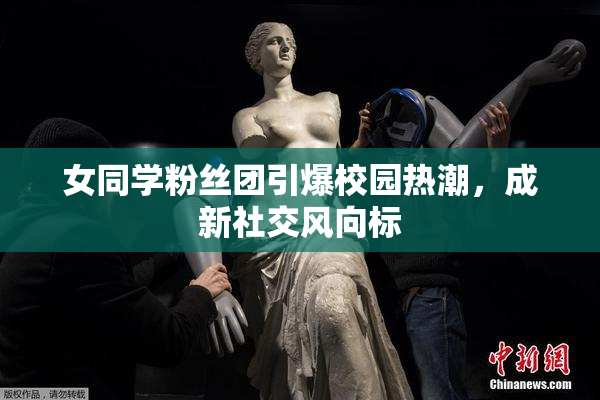 女同学粉丝团引爆校园热潮，成新社交风向标