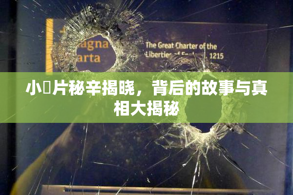 小黃片秘辛揭晓，背后的故事与真相大揭秘