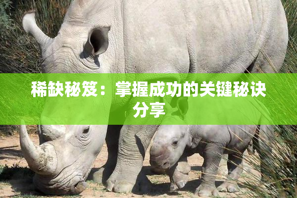 稀缺秘笈：掌握成功的关键秘诀分享