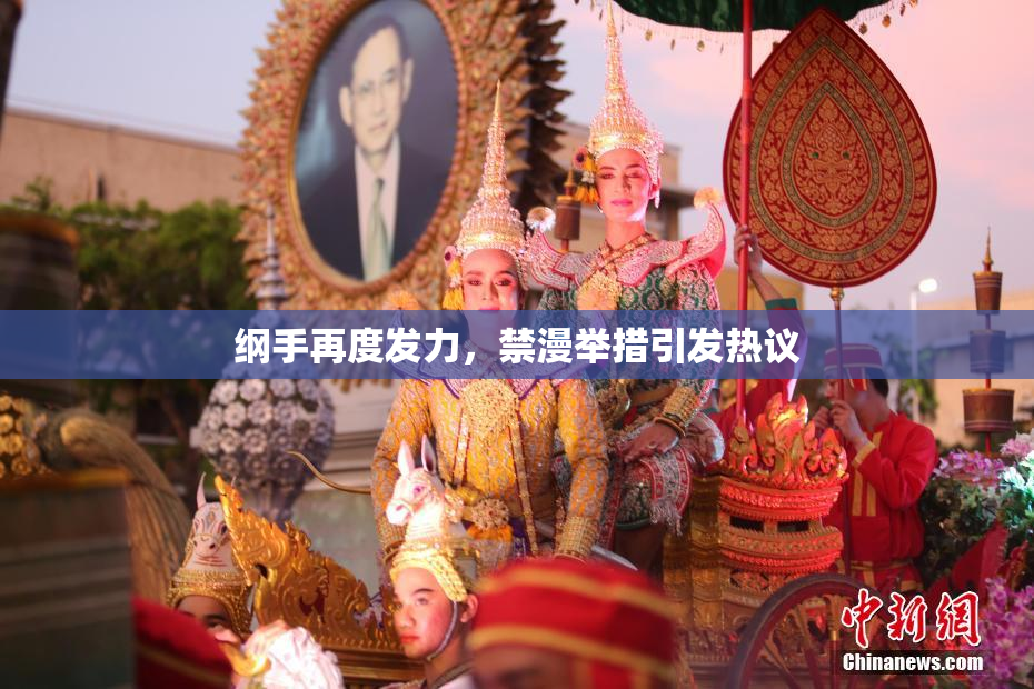 纲手再度发力，禁漫举措引发热议