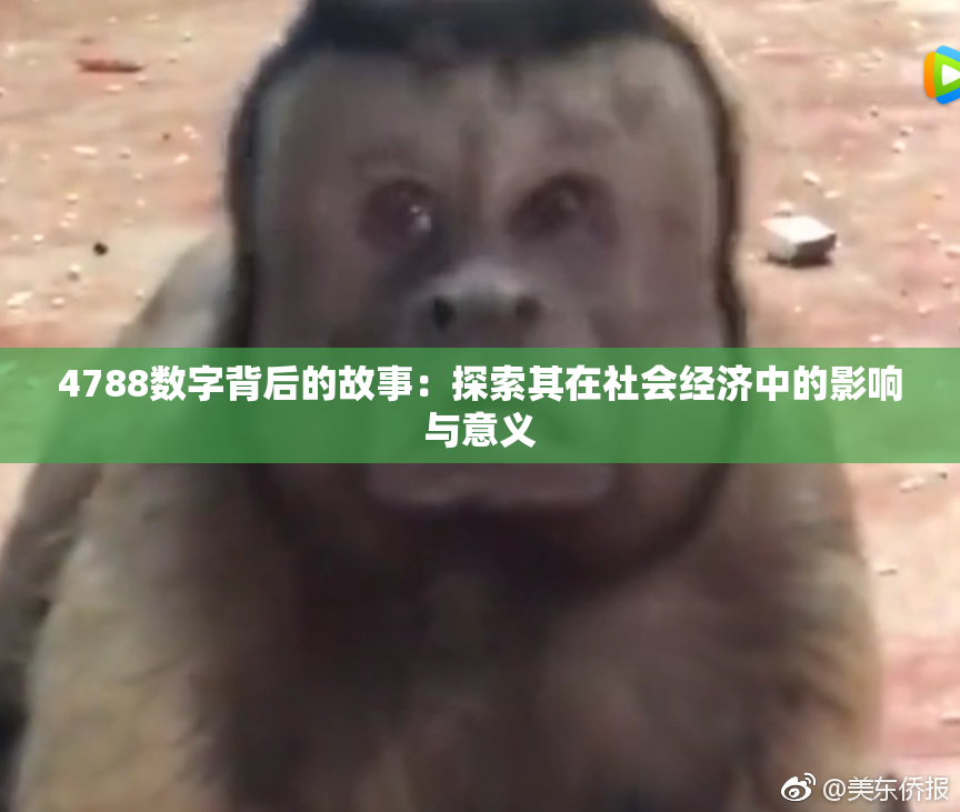 4788数字背后的故事：探索其在社会经济中的影响与意义