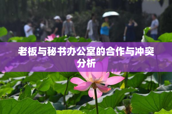 老板与秘书办公室的合作与冲突分析