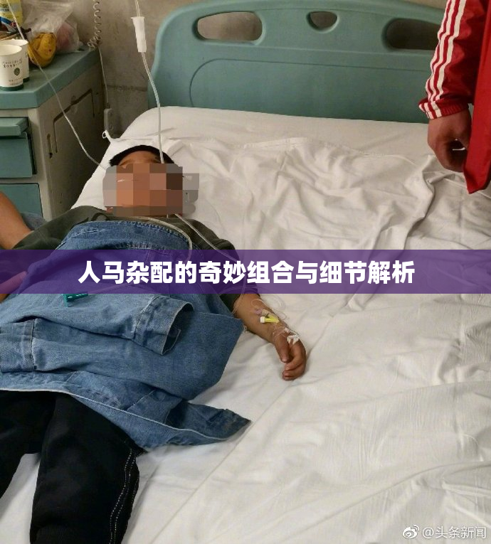 人马杂配的奇妙组合与细节解析