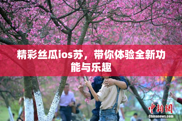 精彩丝瓜ios苏，带你体验全新功能与乐趣