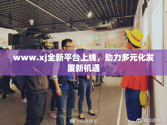 www.xj全新平台上线，助力多元化发展新机遇