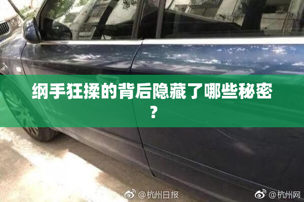 纲手狂揉的背后隐藏了哪些秘密？