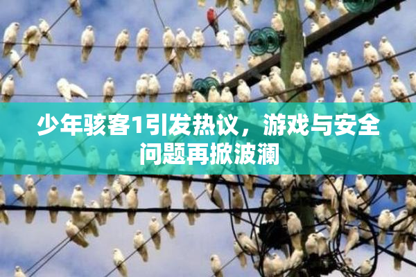 少年骇客1引发热议，游戏与安全问题再掀波澜