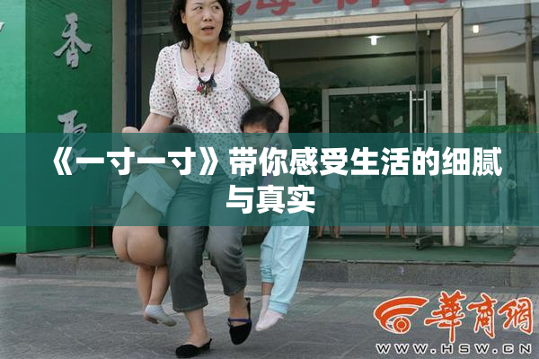 《一寸一寸》带你感受生活的细腻与真实