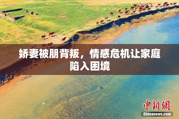 娇妻被朋背叛，情感危机让家庭陷入困境