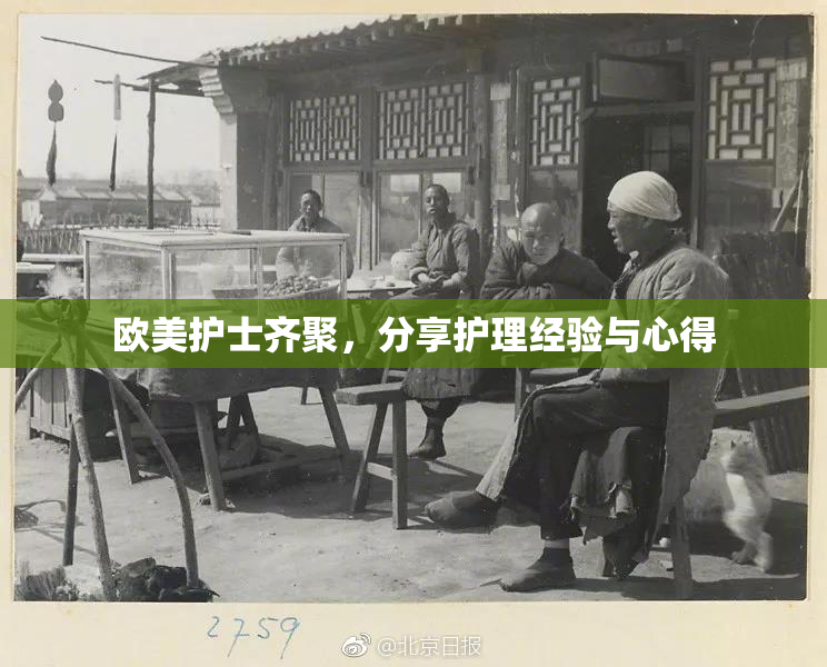 欧美护士齐聚，分享护理经验与心得