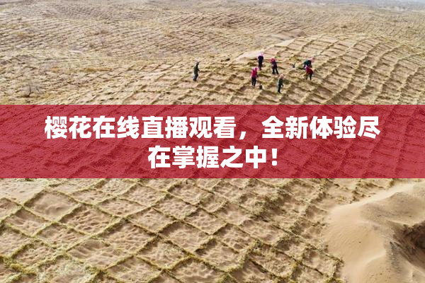 樱花在线直播观看，全新体验尽在掌握之中！