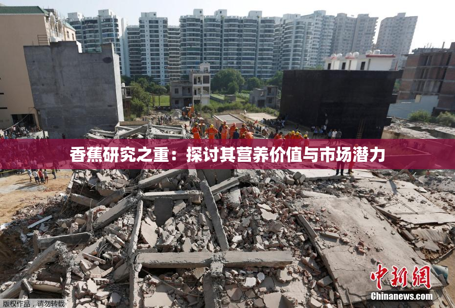 香蕉研究之重：探讨其营养价值与市场潜力