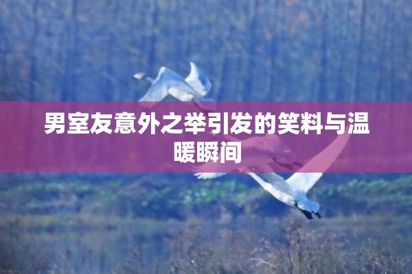 男室友意外之举引发的笑料与温暖瞬间