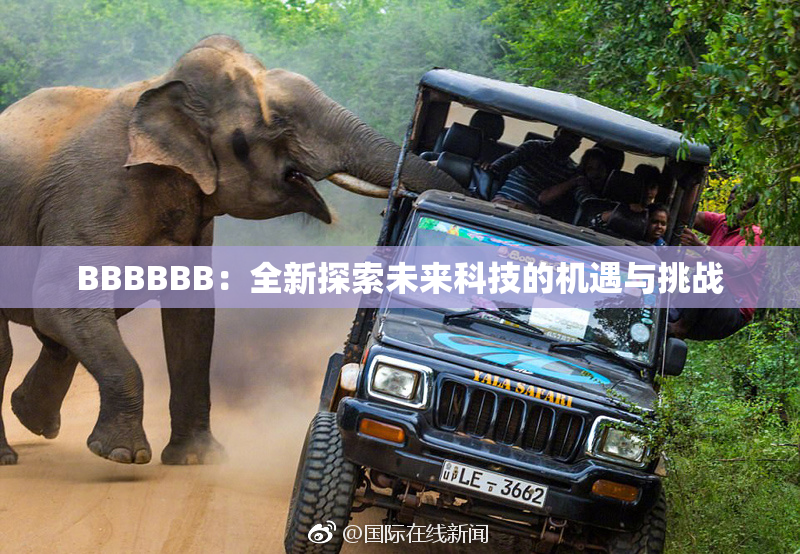 BBBBBB：全新探索未来科技的机遇与挑战