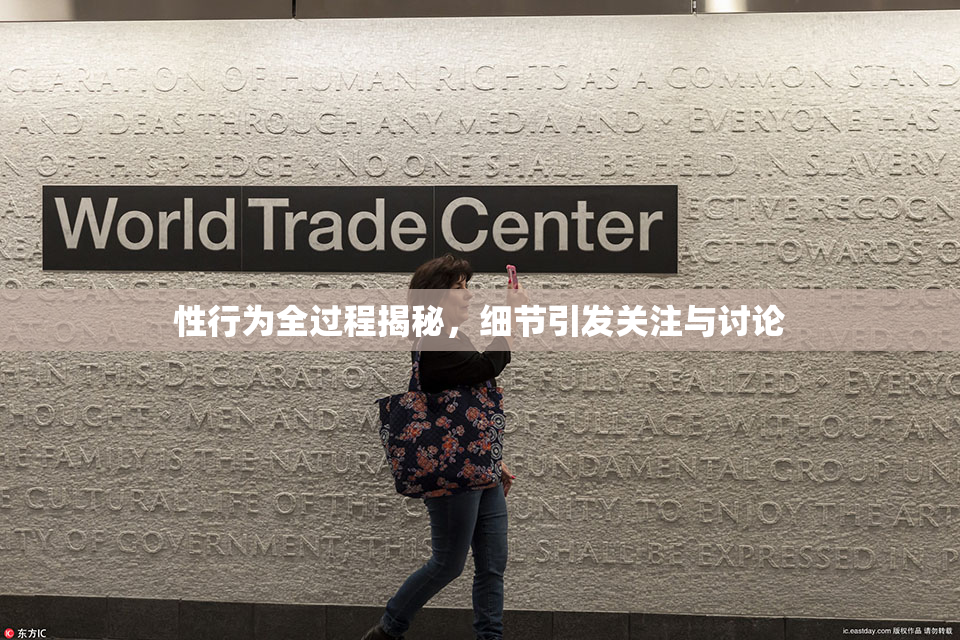 性行为全过程揭秘，细节引发关注与讨论