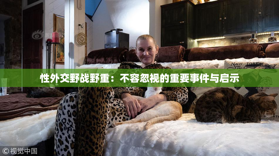 性外交野战野重：不容忽视的重要事件与启示