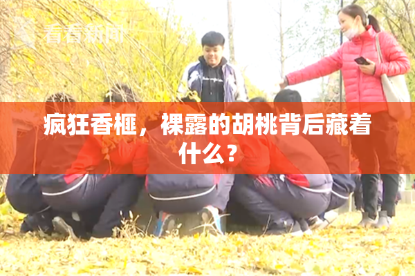 疯狂香榧，裸露的胡桃背后藏着什么？