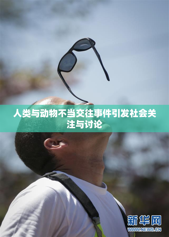 人类与动物不当交往事件引发社会关注与讨论