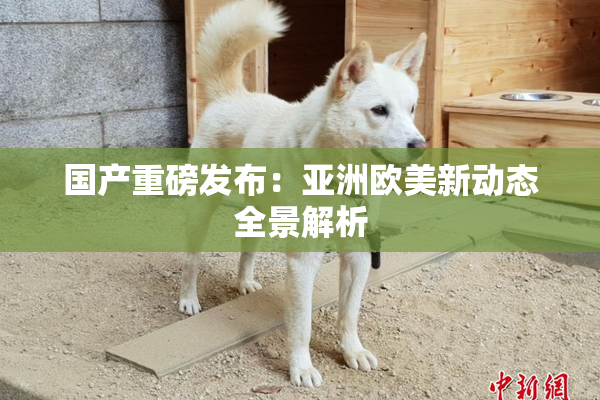 国产重磅发布：亚洲欧美新动态全景解析