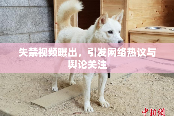 失禁视频曝出，引发网络热议与舆论关注