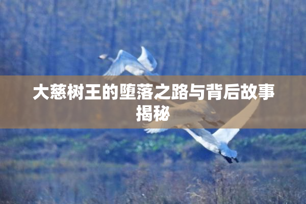 大慈树王的堕落之路与背后故事揭秘