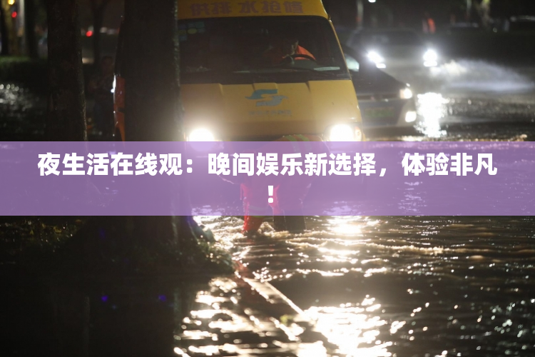 夜生活在线观：晚间娱乐新选择，体验非凡！