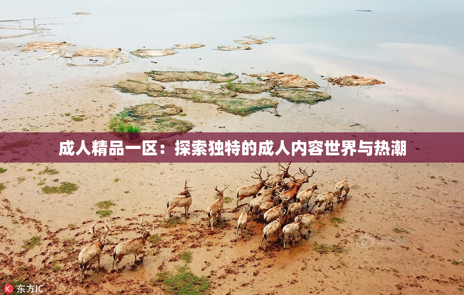 成人精品一区：探索独特的成人内容世界与热潮