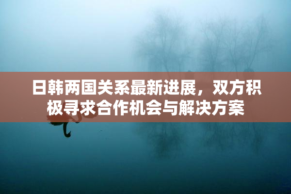 日韩两国关系最新进展，双方积极寻求合作机会与解决方案