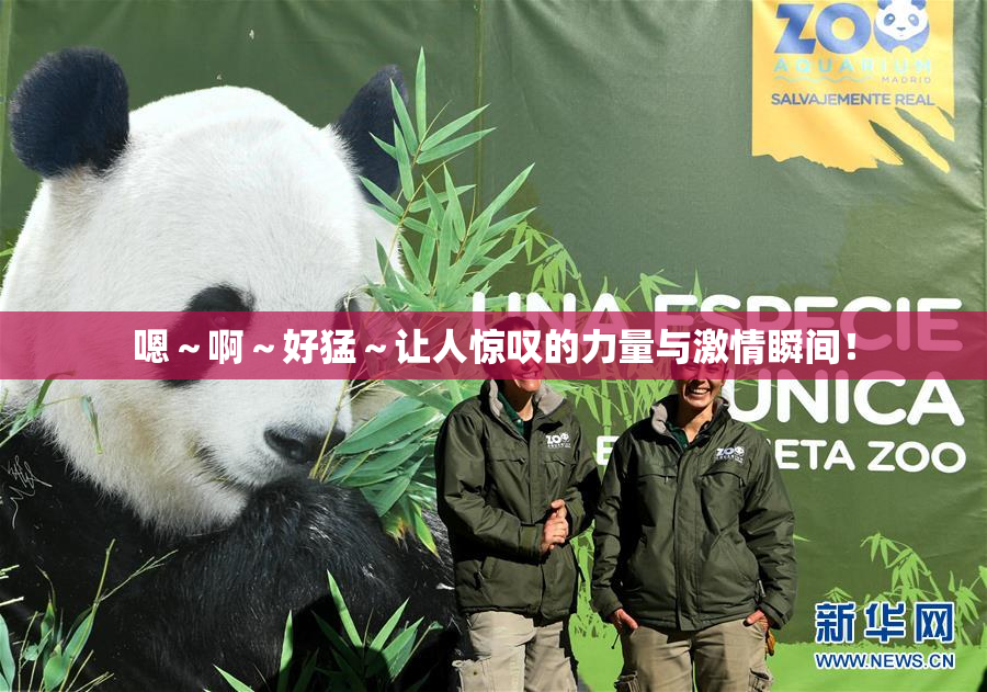 嗯～啊～好猛～让人惊叹的力量与激情瞬间！
