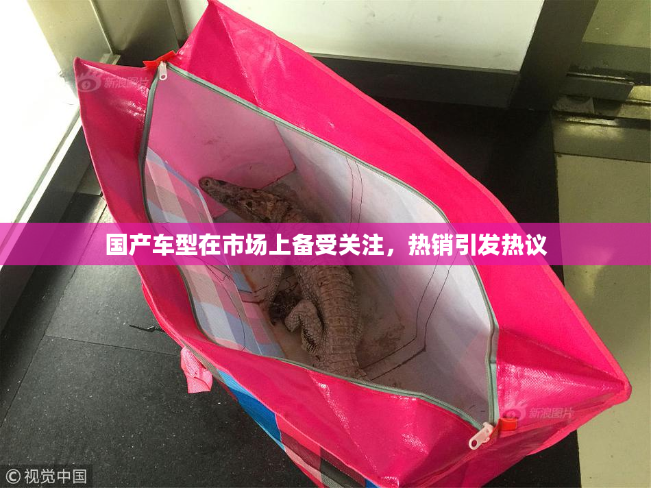国产车型在市场上备受关注，热销引发热议