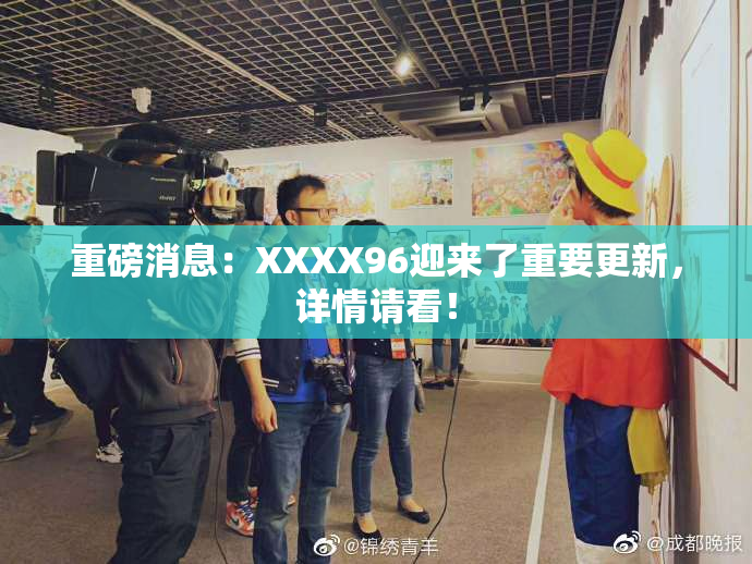 重磅消息：XXXX96迎来了重要更新，详情请看！