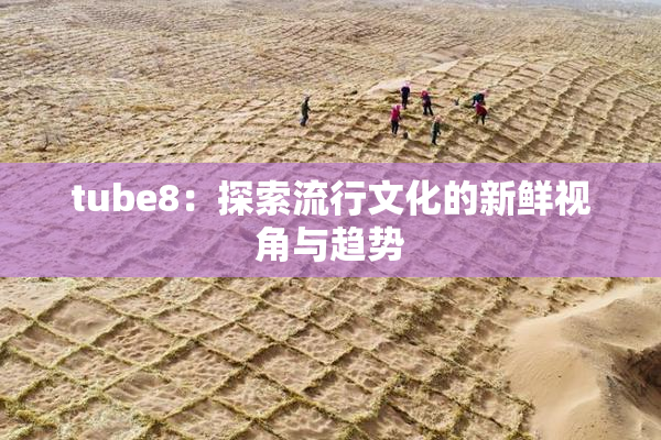 tube8：探索流行文化的新鲜视角与趋势