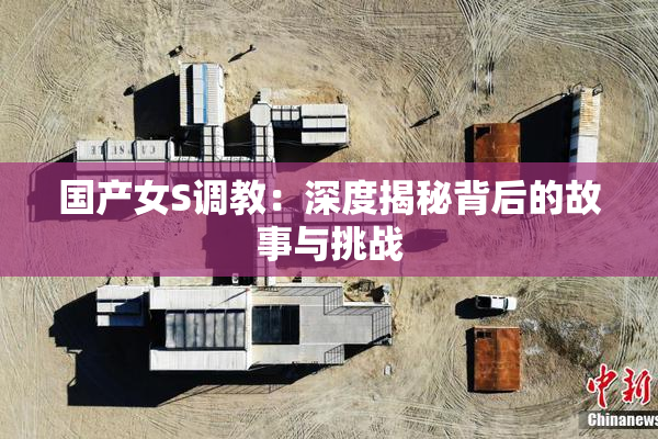 国产女S调教：深度揭秘背后的故事与挑战