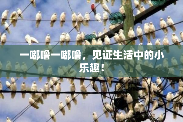 一嘟噜一嘟噜，见证生活中的小乐趣！